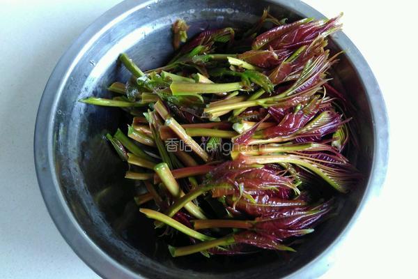 香椿炒鸡蛋的做法图解2