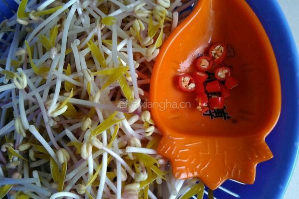素炒绿豆芽的做法图解1
