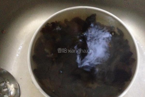 凉拌木耳的做法图解5