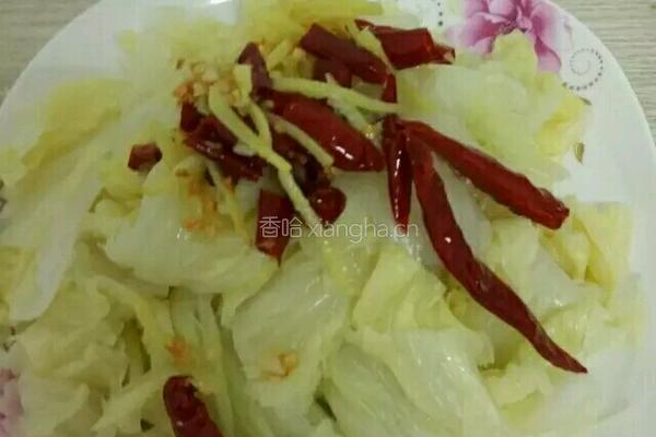 食记录03凉拌白菜的做法图解6