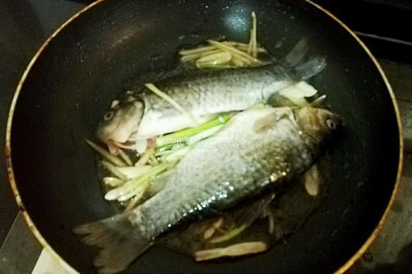 砂锅枸杞香菇鲫鱼豆腐汤的做法图解8