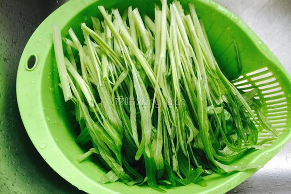 凉拌空心菜的做法图解2