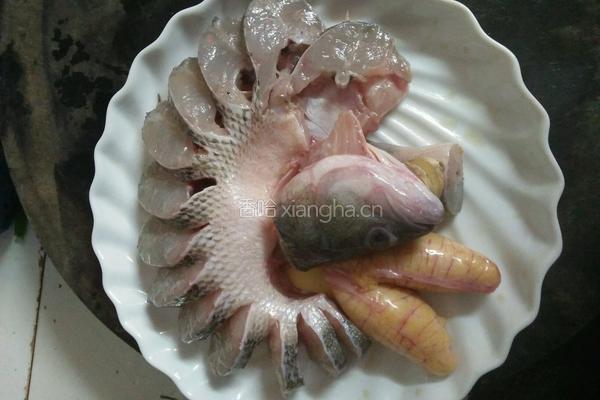 学做孔雀开屏的做法图解3