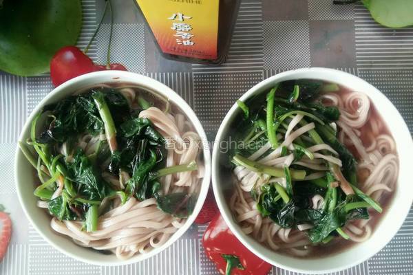 炝汤汉菜面条的做法图解4