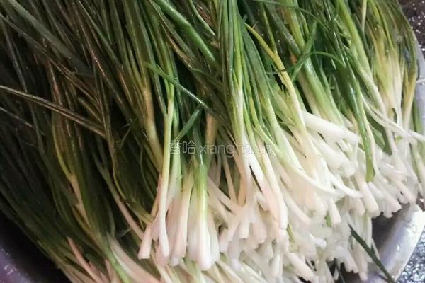 饺子的做法图解4