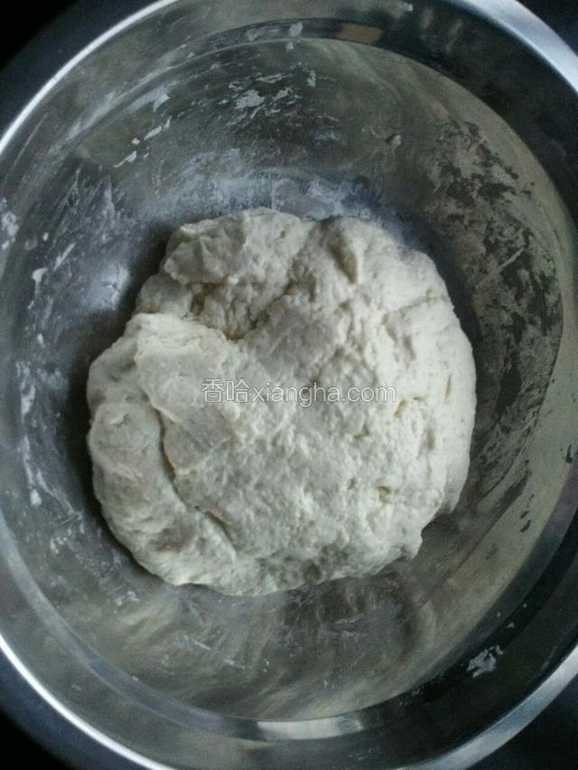 先用温水把酵母化开后放入面粉中拌均，再加温水调制成面团。（做馅饼的面团比饺子皮的面团软一点，这样子做出来的馅饼口感好。）