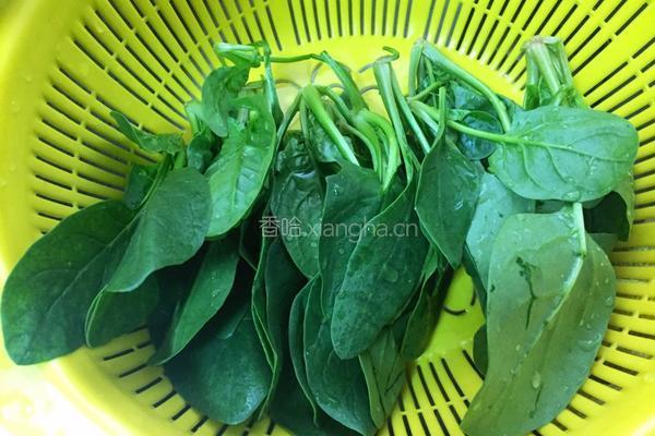 花蛤菠菜汤的做法图解2