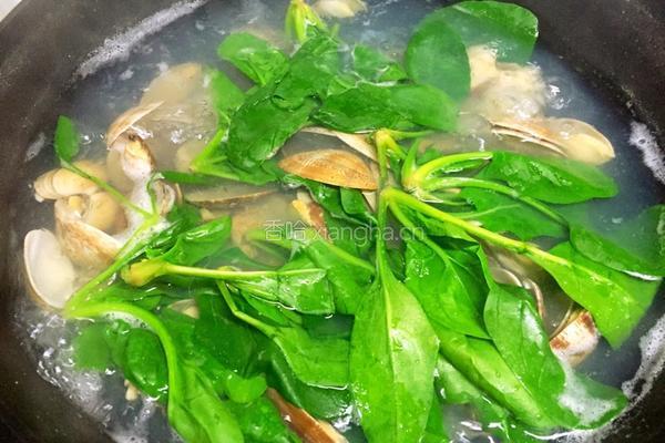 花蛤菠菜汤的做法图解4