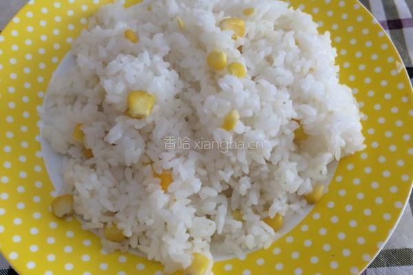 腊肠虾仁什锦炒饭的做法图解4