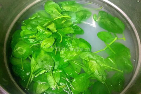 手撕鸡丝爽口菜的做法图解10
