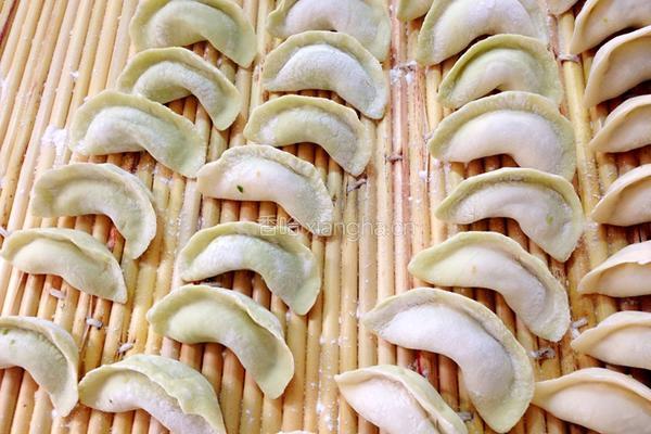 饺子的制作方法的做法图解10