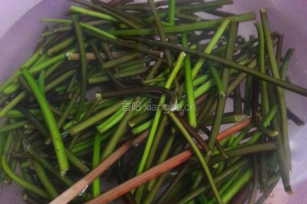 素炒蕨菜的做法图解1