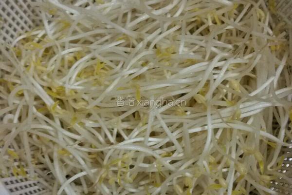 豆芽焖豆腐的做法图解1
