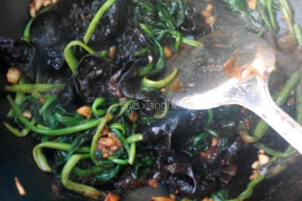 菠菜炒木耳的做法图解4
