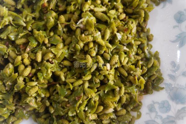 凉拌柳芽(凉拌柳絮)的做法图解3