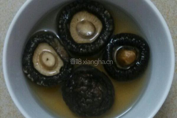 蘑菇炖肉的做法图解3