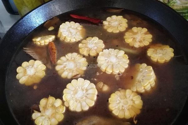 铁锅柴鸡的做法图解15
