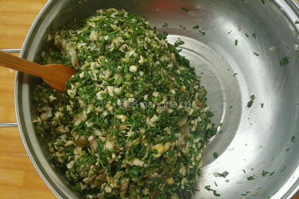 荠菜鲜虾水饺的做法图解9