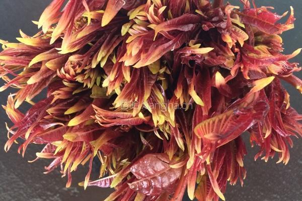 香椿芽炒鸡蛋的做法图解1
