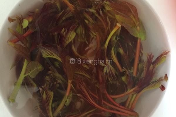 香椿芽炒鸡蛋的做法图解2