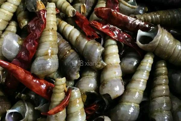 爆炒钉螺的做法图解7