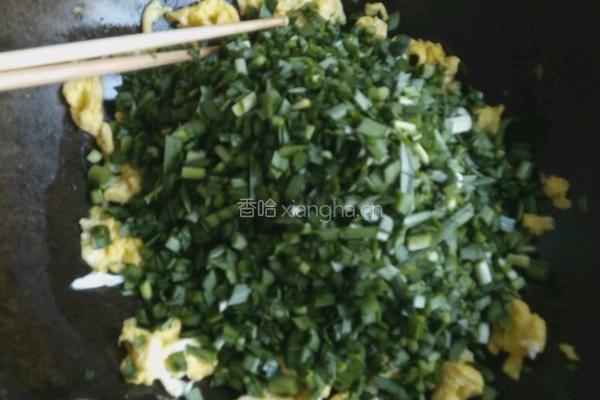韭菜鸡蛋虾仁饺子的做法图解6