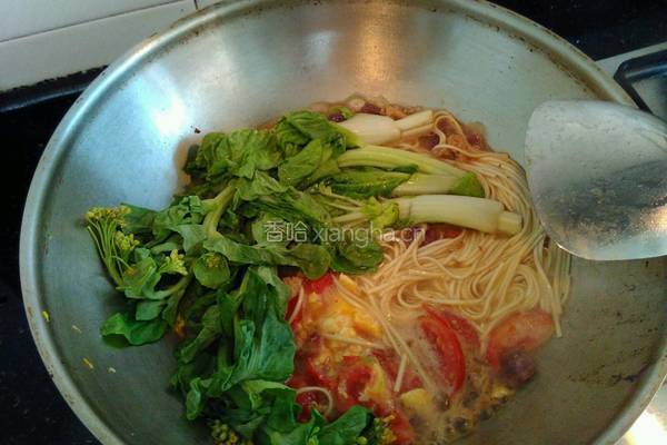 番茄肉蛋面的做法图解12