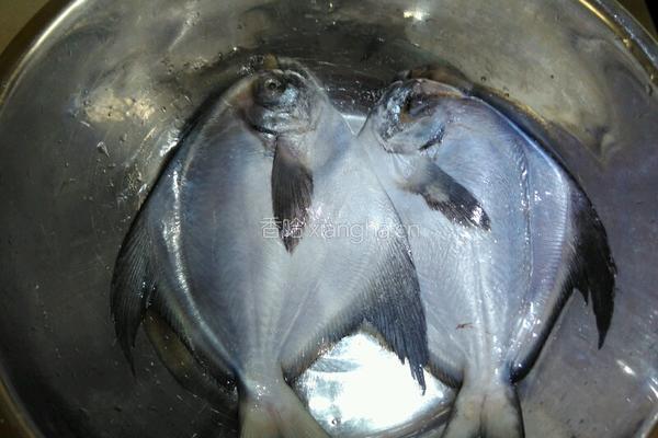 豆豉蒸鯧鳊鱼的做法图解2