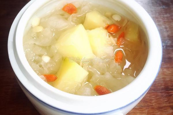 银耳南北杏木瓜糖水的做法图解4
