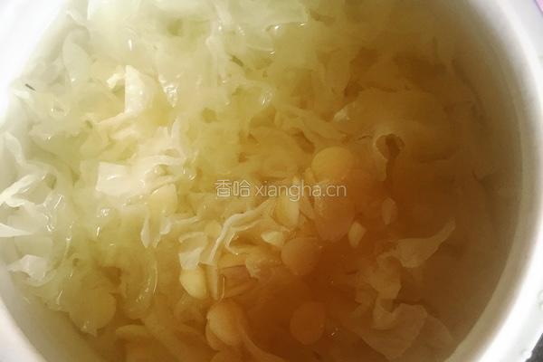 银耳南北杏木瓜糖水的做法图解3
