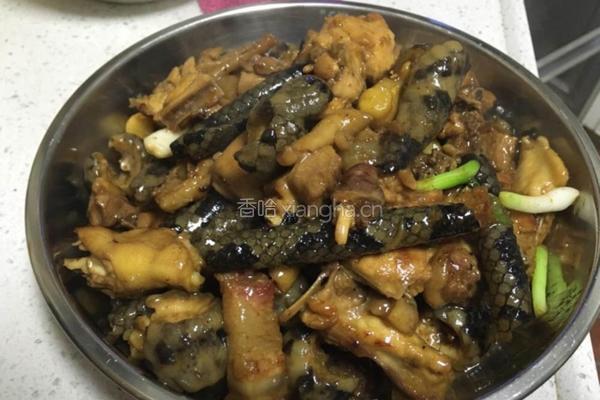 红烧蛇鸡煲的做法图解5