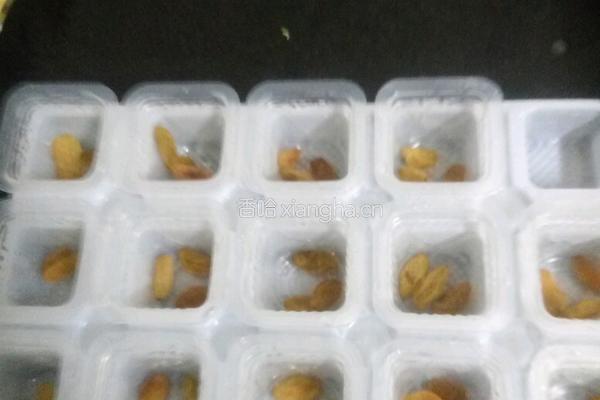 草莓葡萄干布丁的做法图解3