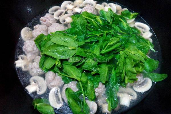 豆苗口蘑肉丸汤的做法图解6