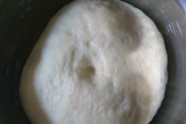 生煎包的做法图解3