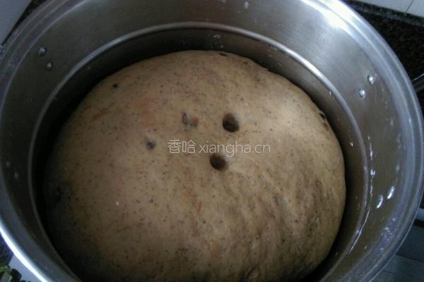 红糖杂粮馒头的做法图解8
