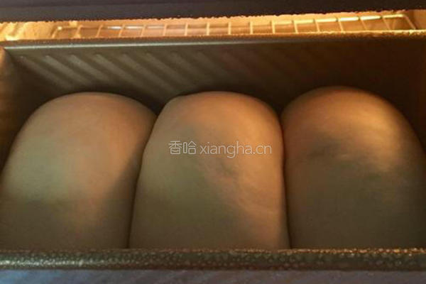 一次发酵的红糖吐司*波兰酵头的做法图解13