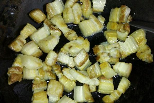 自制红烧肉的做法图解4