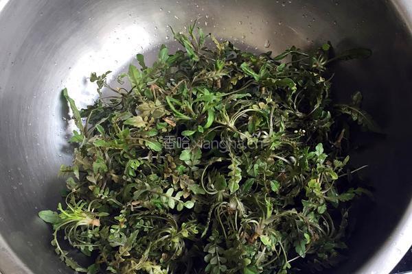 荠菜虾仁豆腐汤的做法图解1