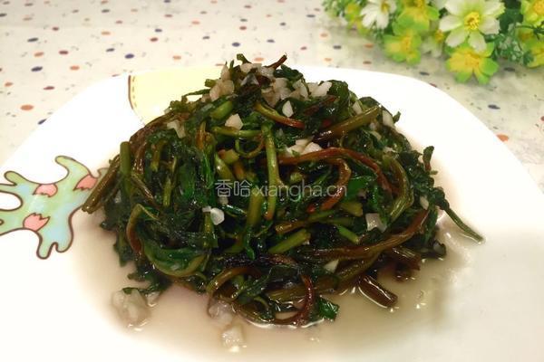 蒜蓉枸杞芽的做法图解7