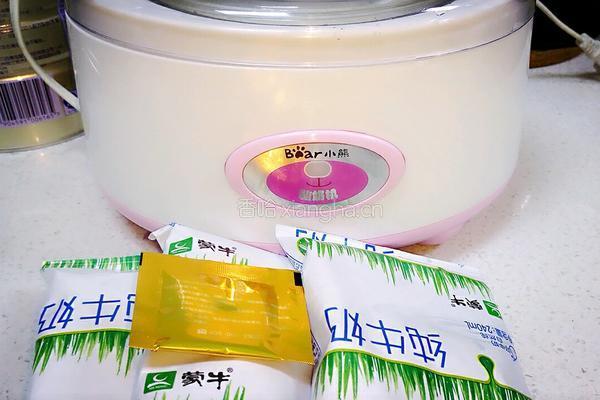 自制酸奶的做法图解1