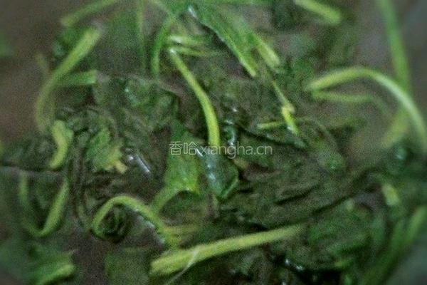 金针绘翠（凉拌金针菇菠菜)的做法图解3
