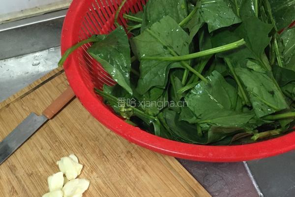 菠菜木耳的做法图解1