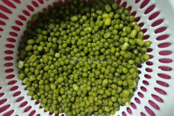 自己动手升绿豆芽的做法图解1