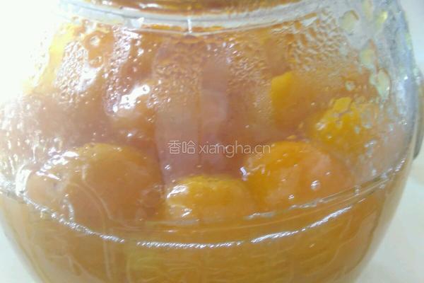 蜜糖金桔的做法图解5