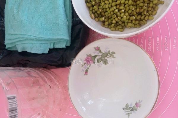 自制豆芽的做法图解1
