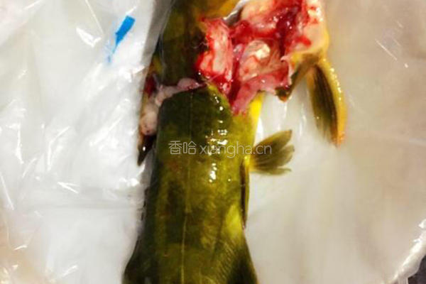 豆腐西红柿鱼汤的做法图解1