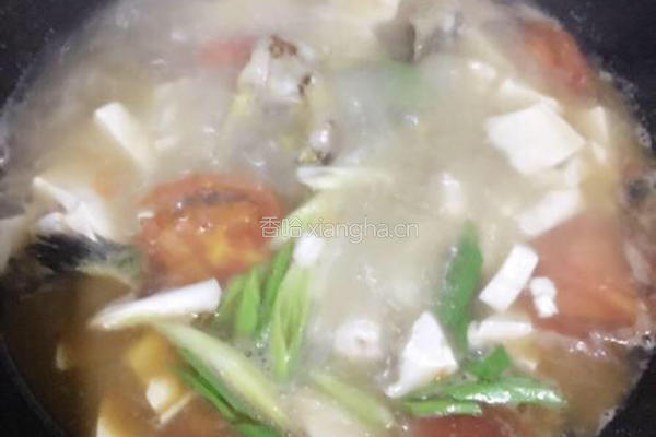 豆腐西红柿鱼汤的做法图解5