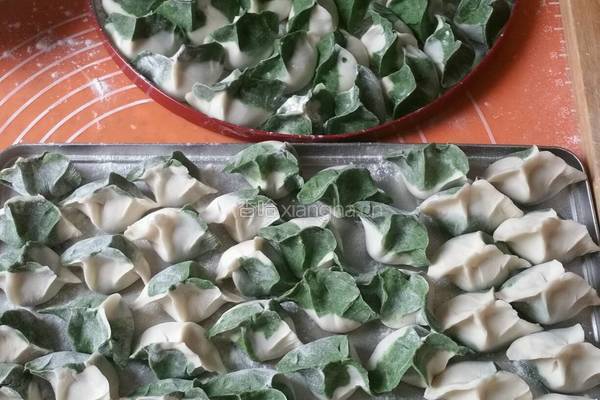 双色香芹饺子的做法图解6