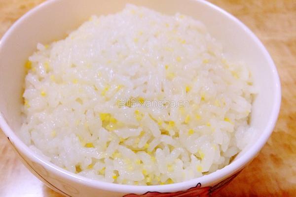 黄焖鸡米饭的做法图解11
