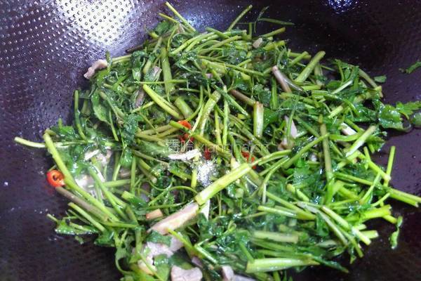 野芹菜炒咸肉丝的做法图解5